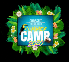 Cft Summercamp 2020 GIF by CFT