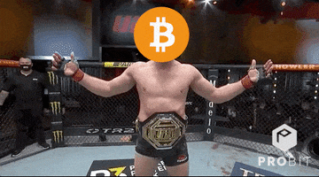 Winning All Time High GIF by ProBit Exchange