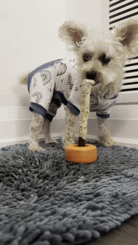 Barkday Treats GIF
