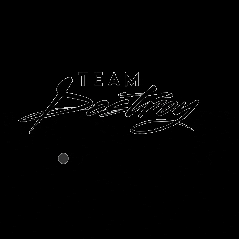 Team Destroy GIF