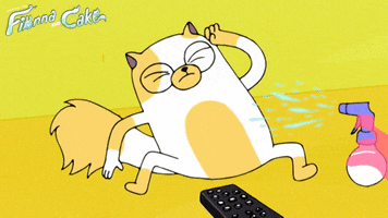 Adventure Time Cat GIF by Cartoon Network