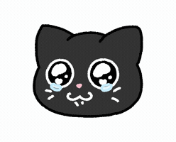 Cat GIF
