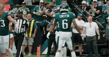 Philadelphia Eagles Go Birds GIF by Stock King Options