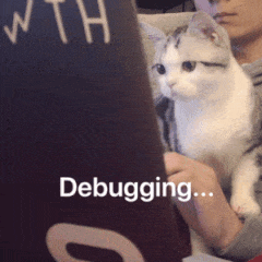 Debugging GIF
