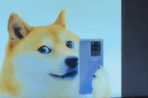 Dog GIF
