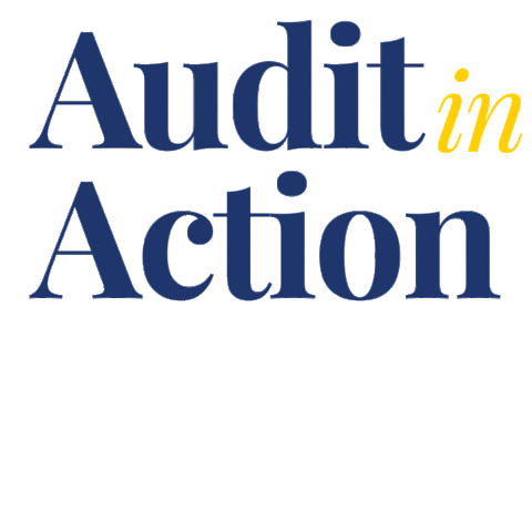 Accounting Caq Sticker by Discover Audit