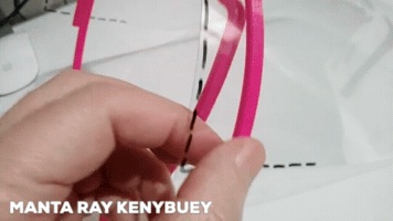 Manta Ray Kenybuey GIF