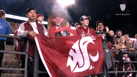 coug it meaning, definitions, synonyms