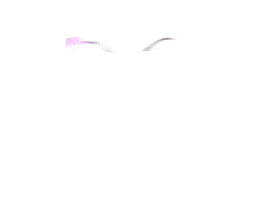 Sticker by Enchantment Lashes