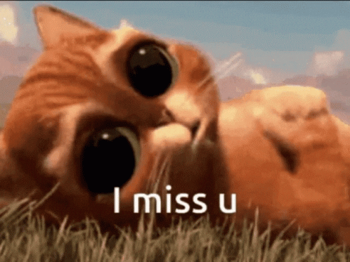 I-missed-you GIFs - Get the best GIF on GIPHY