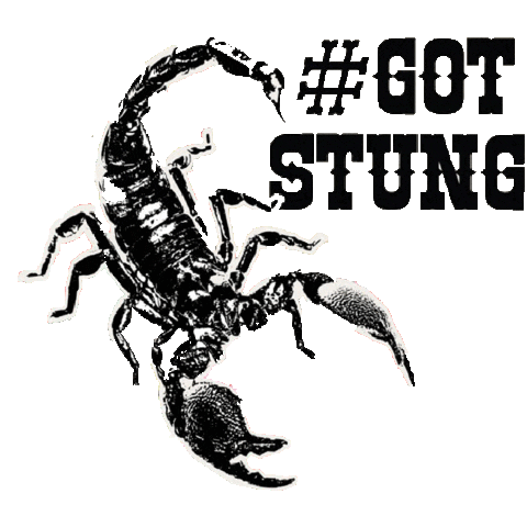 Nacho Scorpion Sticker by NachoDaddyLV
