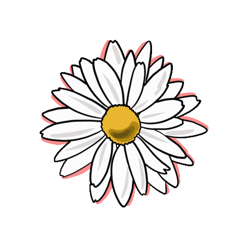 Summer Sticker