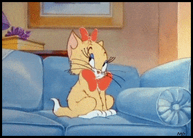 Tom And Jerry GIF