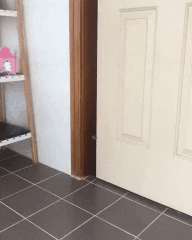 giphy.gif?cid=790b76114bd572176ebc8e9a74