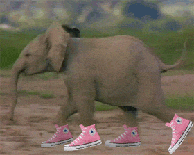 Run Converse GIF - Find & Share on GIPHY