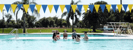Swimming Pool Summer GIF by UC Davis