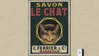 archivesherault-archives-herault-heraultculture-SWcOxFFqaG39L1K01r