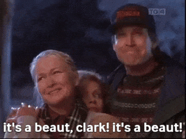 clark national lampoons griswald its a beaut GIF