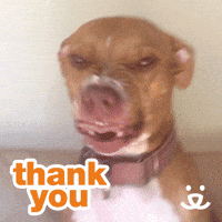 Thank You Dog Gifs Get The Best Gif On Giphy