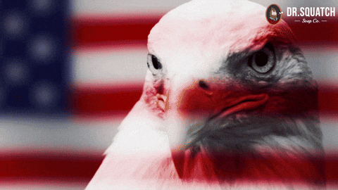 Giphy - 4Th Of July America GIF by DrSquatch