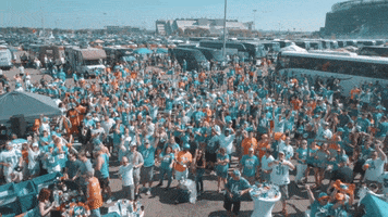 Miami Dolphins GIF by Dolfans NYC