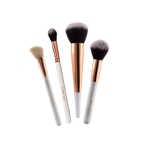 Makeup Brushes Brush Sets Sticker by awbmakeup