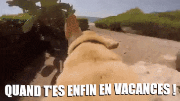 Camping Qualité GIF