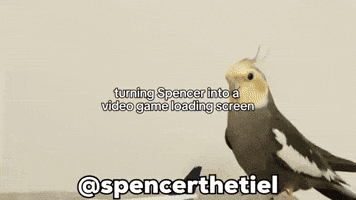 Instagram Bird GIF