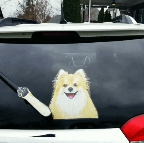 Dog Paw GIF by WiperTags Wiper Covers