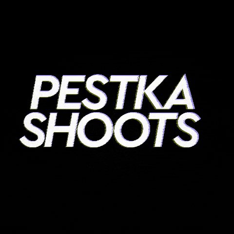 Pestka Shoots GIF