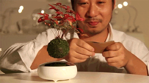 Plants It'S Fucking Floating GIF by Digg - Find & Share on GIPHY