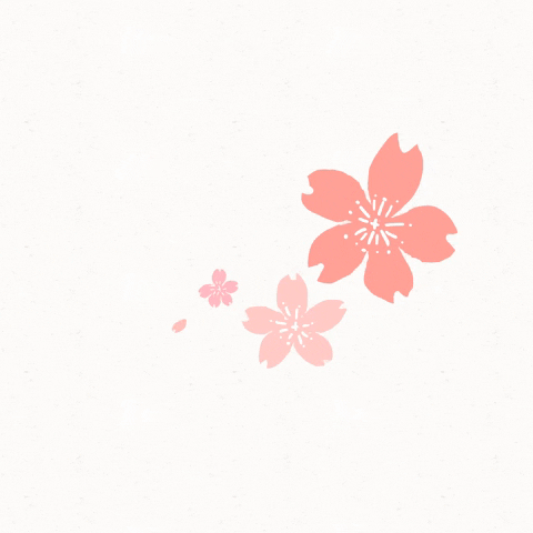 Cherry Blossoms Illustration GIF by Gunmaunofficial