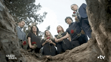 Roses Funeral GIF by Un si grand soleil