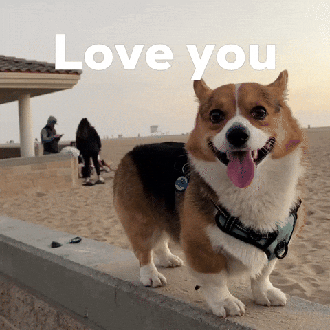 Love You Dog GIF