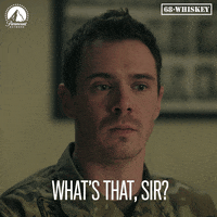 What Is It Sir GIF by Paramount Network