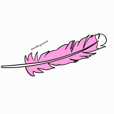 animated feather gif