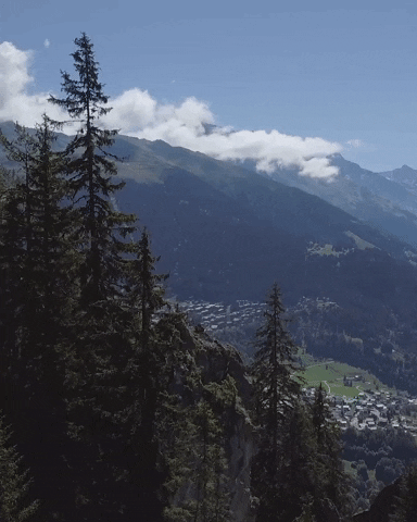 W Verbier GIF