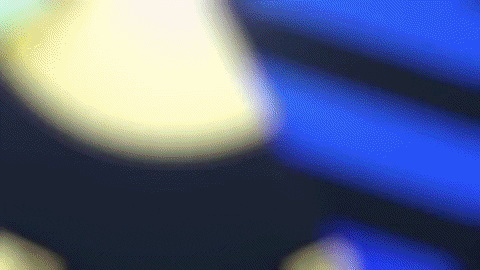 giphy.gif