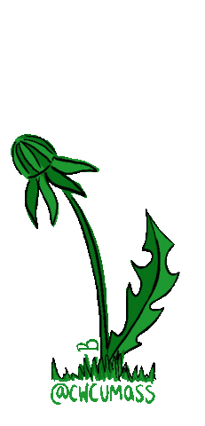 Center for Women & Community Sticker