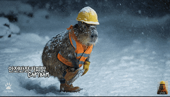 Snow Checking GIF