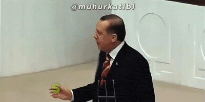 Tayyip Ak Parti GIF