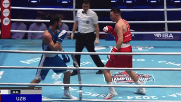 Boxing GIF by Bekzatsport