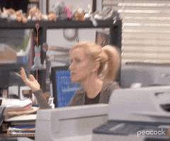 The Office gif. Angela Kinsey as Angela sits at her desk and looks up, shakes her head, annoyed and incredulous, then puts her head in her hand.