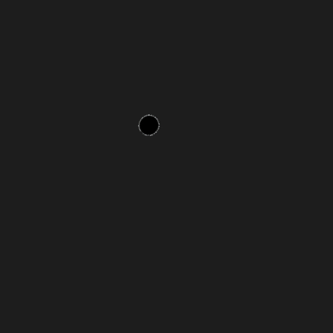 Pira06 GIF by Pira Studio
