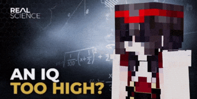 Crow Minecraft Skin GIF