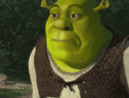 Laugh Bird GIF