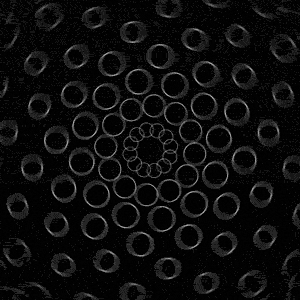 black and white circle GIF by Motion Addicts