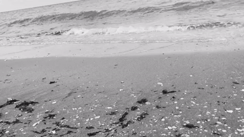 Black And White Summer GIF