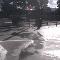 Skate Skating GIF