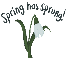 Spring Snowdrop Sticker